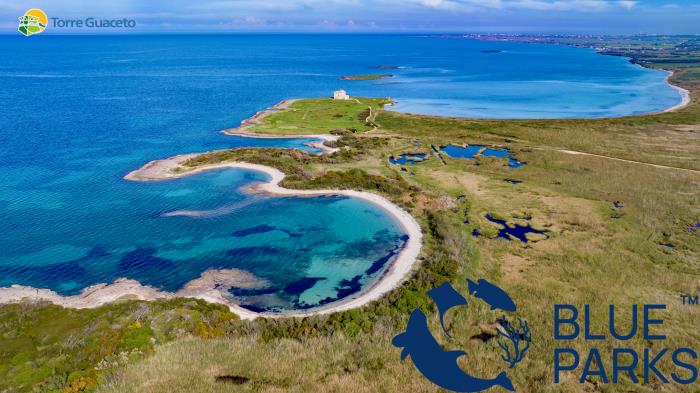 TORRE GUACETO SI CONFERMA BLUE PARK: È UNA DELLE 30 MIGLIORI AREE PROTETTA AL MONDO TORRE GUACETO SI CONFERMA BLUE PARK: È UNA DELLE 30 MIGLIORI AREE PROTETTA AL MONDO